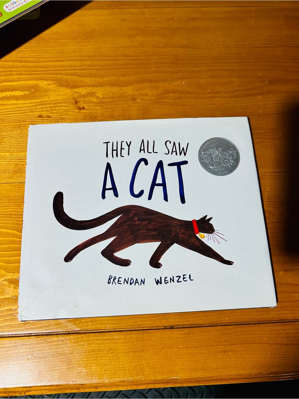 They All Saw A Cat hardcover picture book by Brendan Wenzel